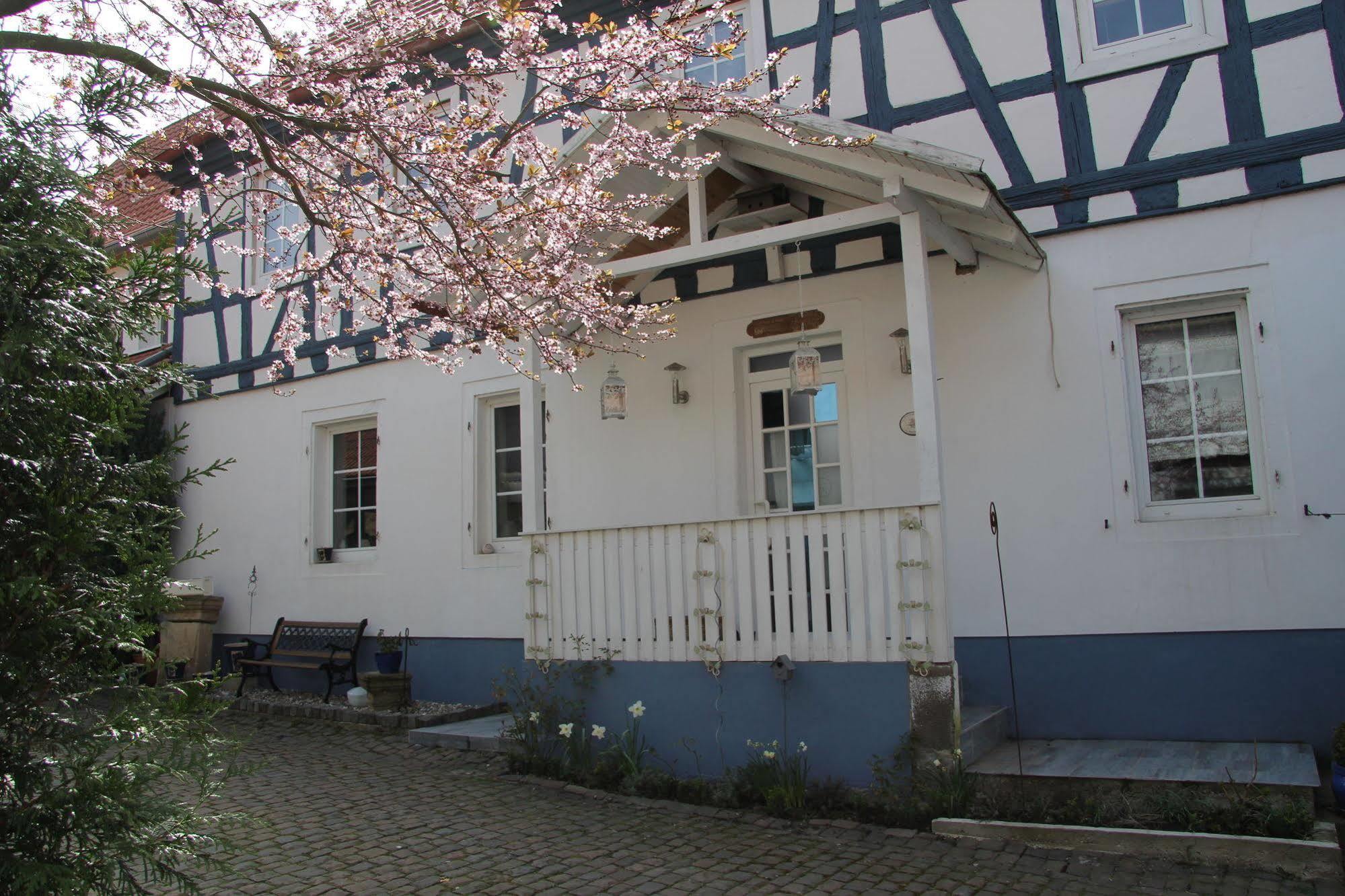 No.31 B&B Im Rosengarten Kapellen-Drusweiler Exterior photo